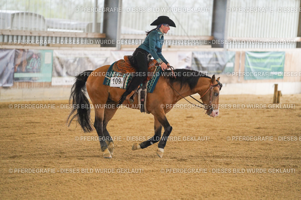 DSC09797 | Pferdegrafie