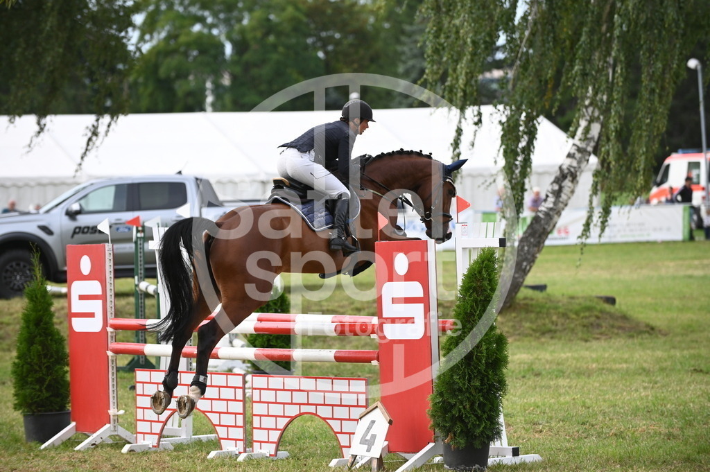 DSC_3387 | sattelsport - Realisiert mit Pictrs.com