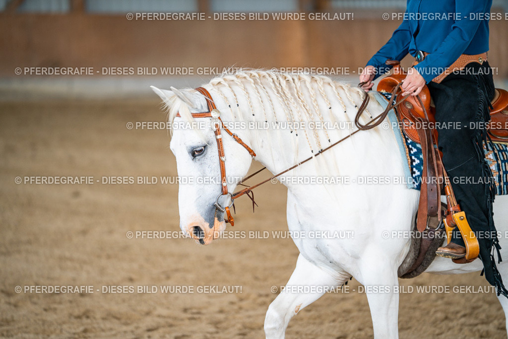 DSC08793 | Pferdegrafie