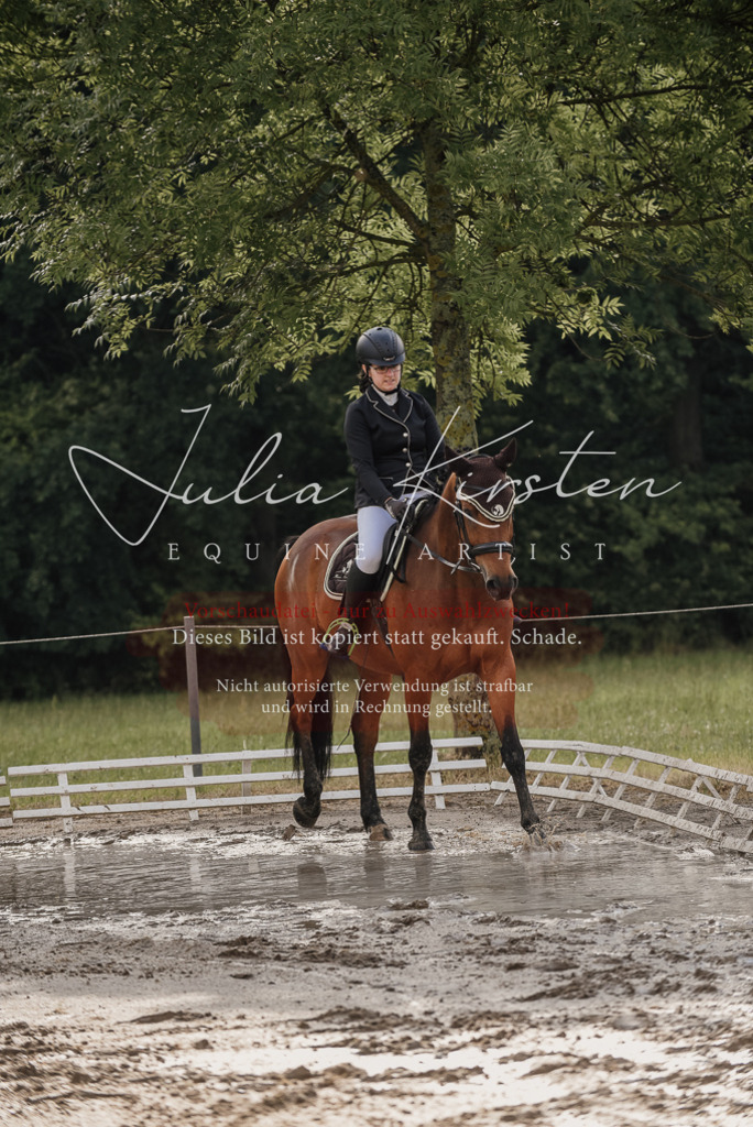 DSC_8435 | Pferde- und Turnierfotografie in Westsachsen. Pferdeportraits, Auftragszeichnungen und intuitive Kunst.