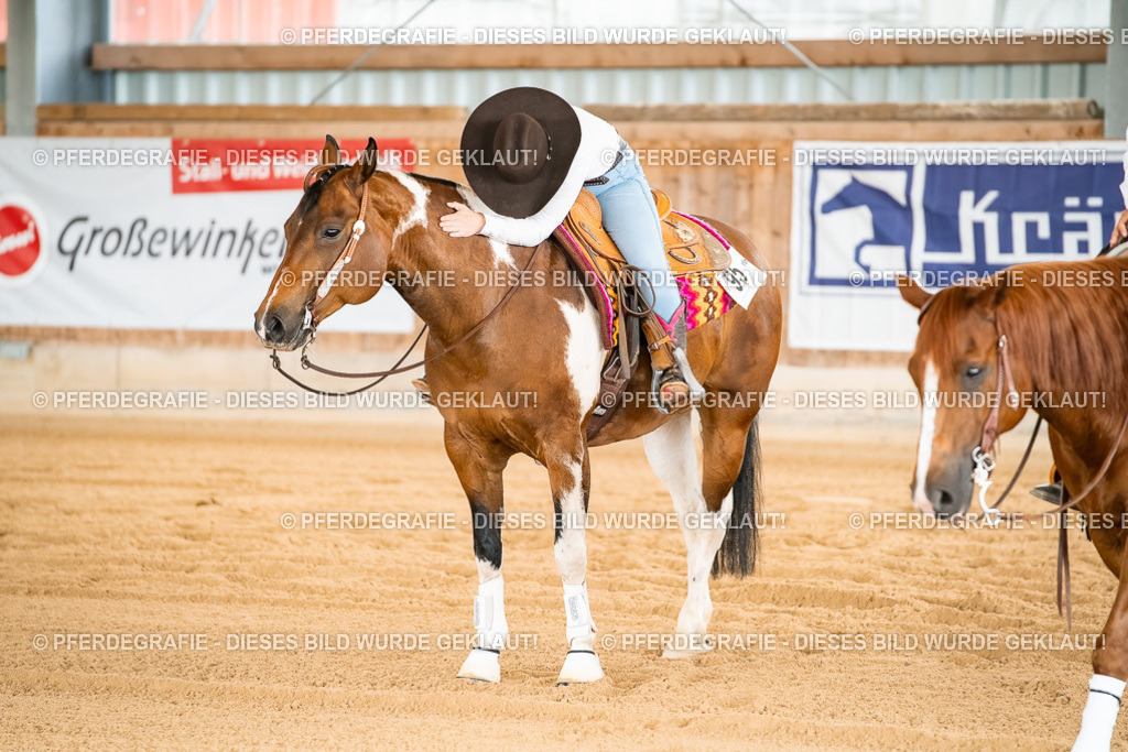 DSC02516 | Pferdegrafie