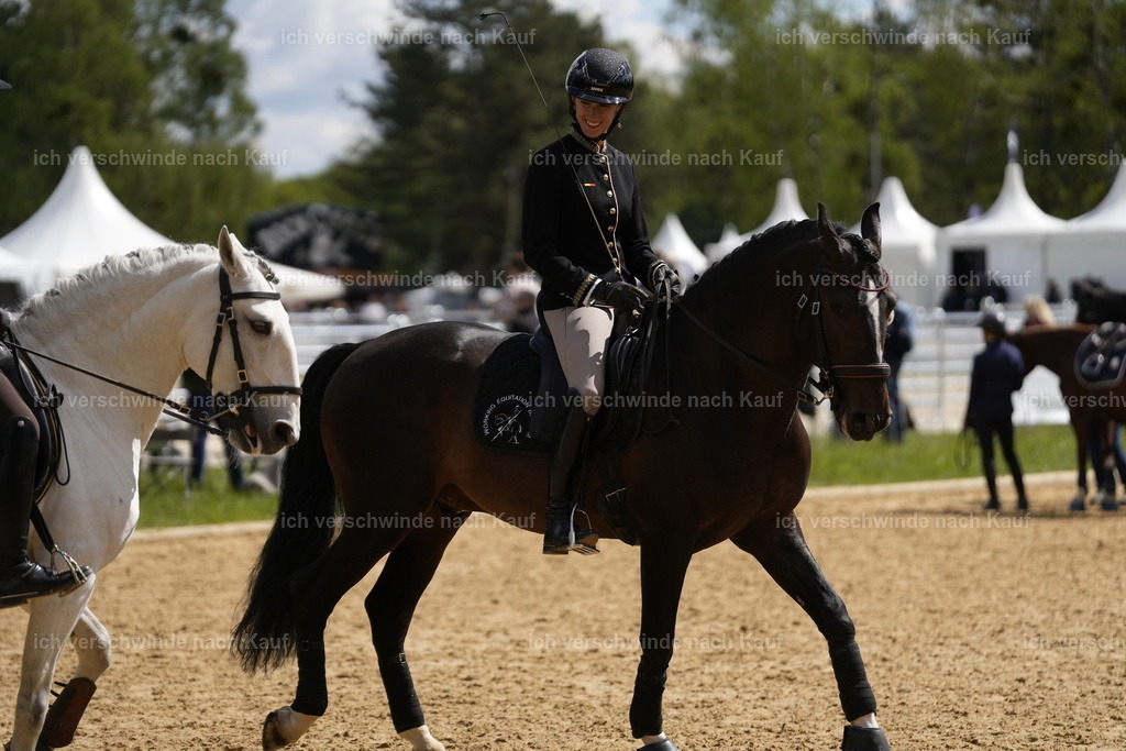 PI26_COW_Stoibphotography_A749484.JPG | working equitationturnier fotograf videograf stoibphotography marixx film working equitation deutschland reitsport turnierfotografie eventfotografie equestrian events