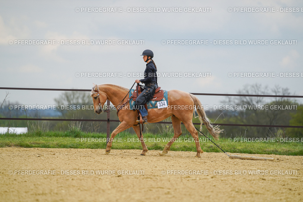 DSC07199 | Pferdegrafie