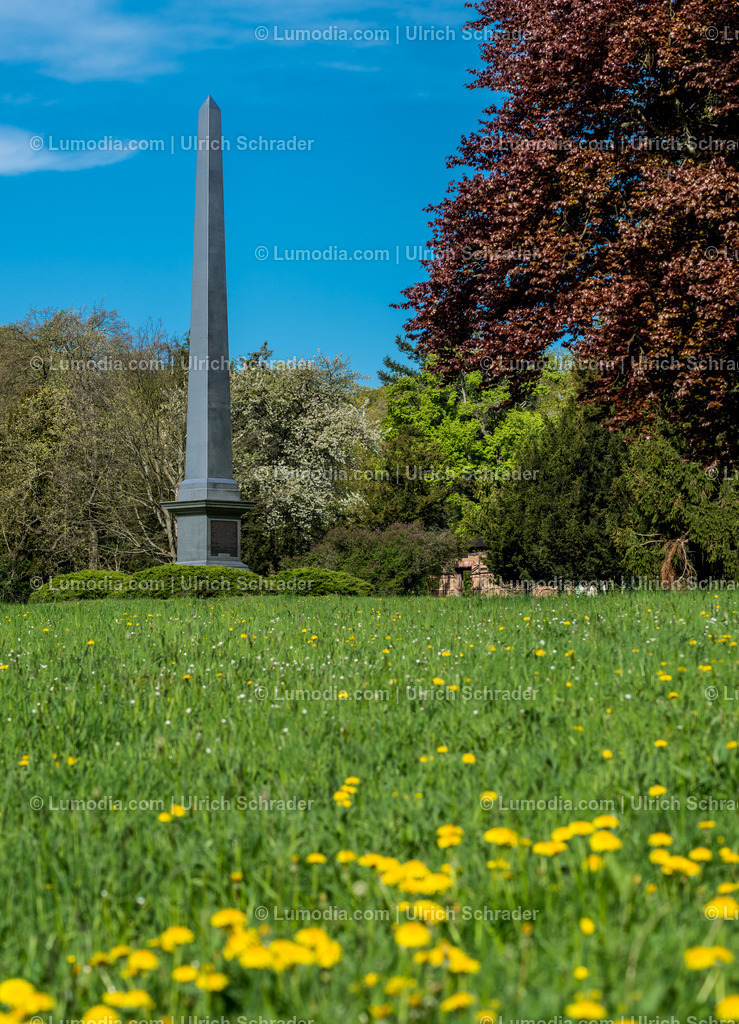 10049-3853 - Landschaftspark Degenershausen | Stockfoto und Bilderpool mit Bildmaterial aus Deutschland, dem Harz, Halberstadt, Quedlinburg, Wernigerode und weltweit. Qualitativ hochwertige und professionelle Fotos anschauen und kaufen. - Realisiert mit Pictrs.com