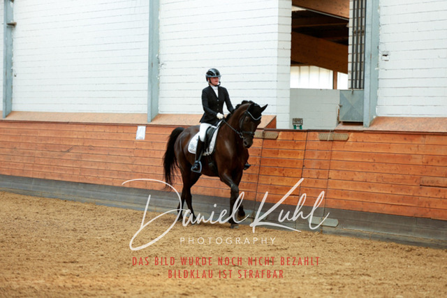 _62_4494 | Turniersportfotografie; Pferdefotografie; Dressurfotografie