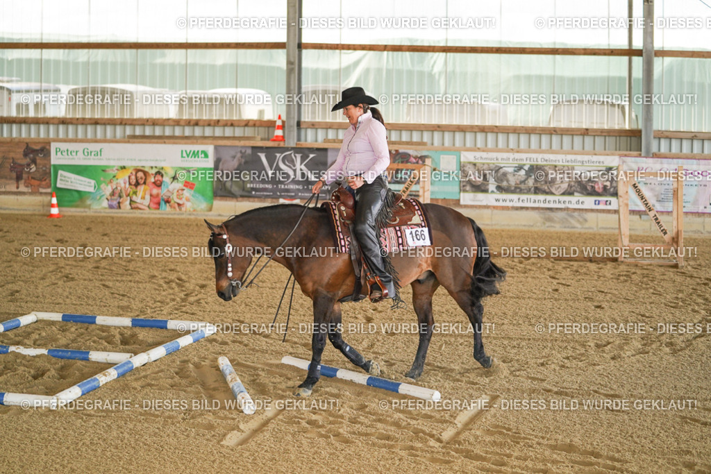 DSC00293 | Pferdegrafie