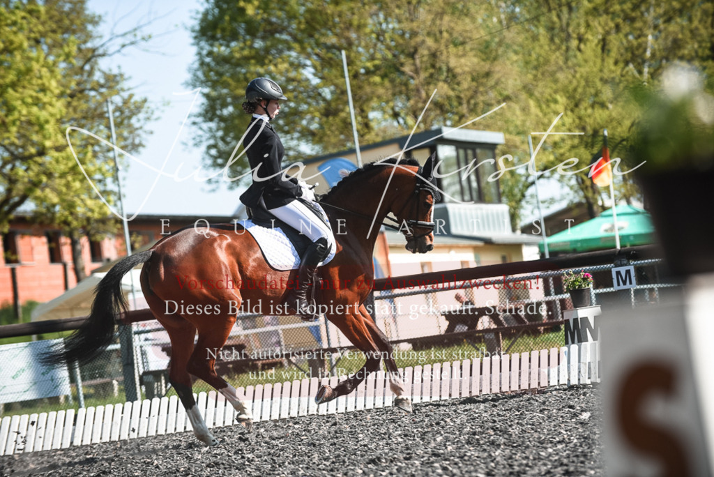 DSC_8678 | Pferde- und Turnierfotografie in Westsachsen. Pferdeportraits, Auftragszeichnungen und intuitive Kunst.