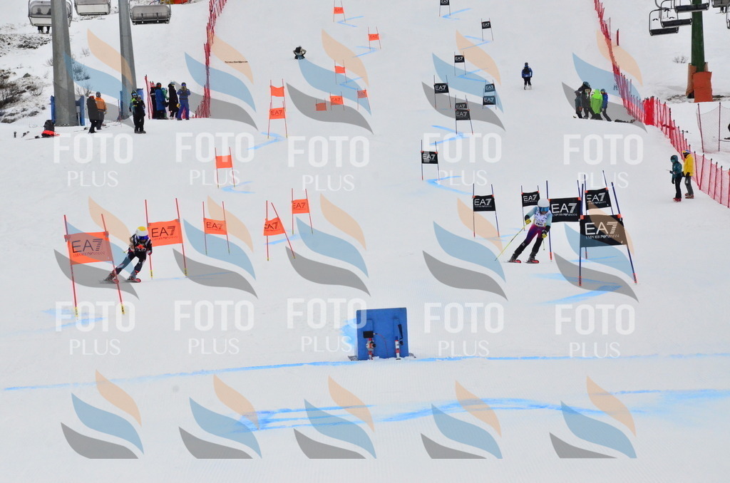 _ELE3695 | holidayphoto