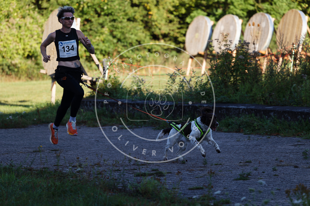 0L8A4793 | Hundefotografie, Tierfotograf, Pfotenfotografie, Fotoshooting Hund, Hunde Portrait, Hundesport, Hundeportraits, Heideshooting, Hunde, Sportfotograf, Hundefotograf, Turnierhundsport, THS,  - Realisiert mit Pictrs.com