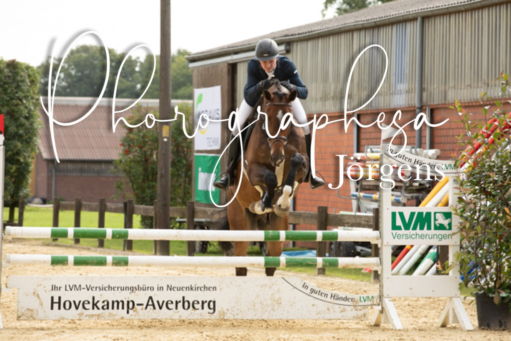 IMG_6607 | photographesa-joergens - Realisiert mit Pictrs.com