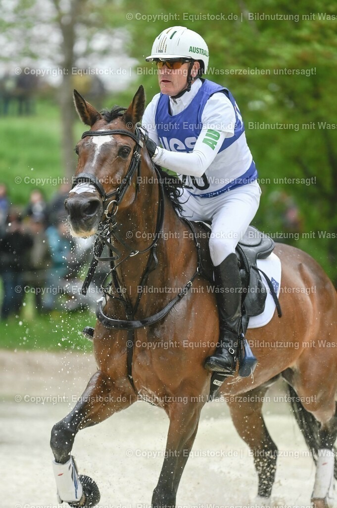 20230513_CCI4_Gelände_0259 | equistock