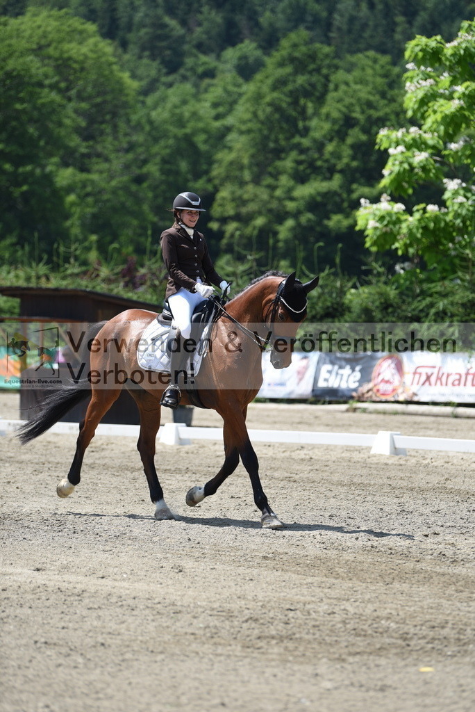 DSC_1065 | equestrian-live-com