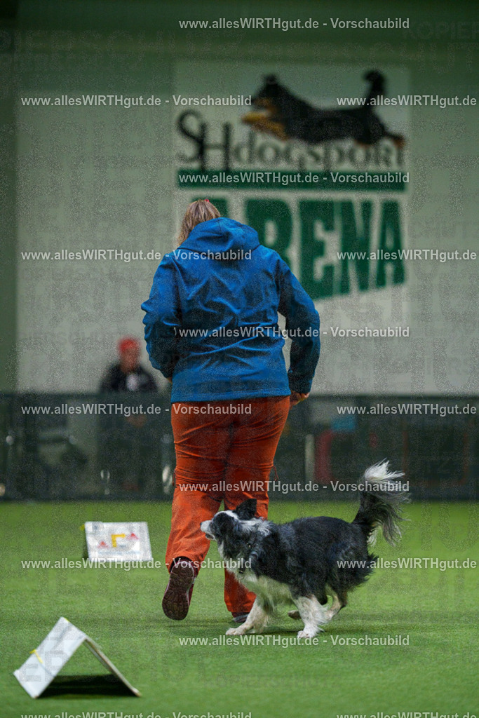 7R504474 | Professionelle Tierfotografie in Mönchengladbach von Daniel Wirth (allesWIRTHgut). Liebevolle & natürliche Bilder von Hunden & Katzen für unvergessliche Erinnerungen.