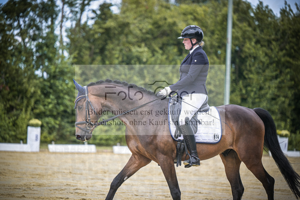 DOS_0960 | Entdecke hochwertige Reitturnierfotos von Foto Oger. Professionell, emotional und authentisch – jetzt Lieblingsmomente im Shop bestellen.Deutschlandweite Turnierfotografie. - Realisiert mit Pictrs.com