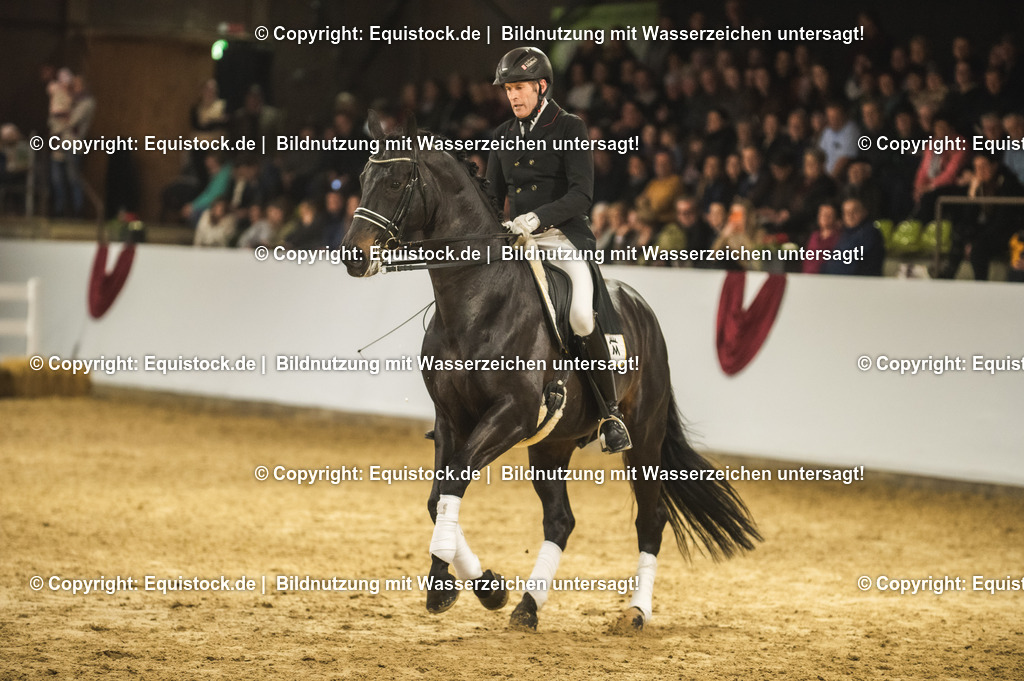 20240302_Hengstvorstellung_Marbach_TOMsPiC_1446 | equistock