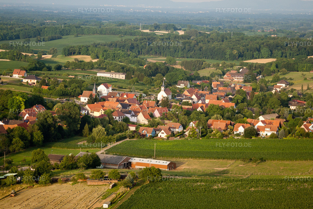 Luftbild: Ortsansicht in Wintzenbach im Bundesland Bas-Rhin in Frankreich. Foto: IMG_30624.jpg vom 09.07.2010 durch Werner Riehm/FLY-FOTO.de