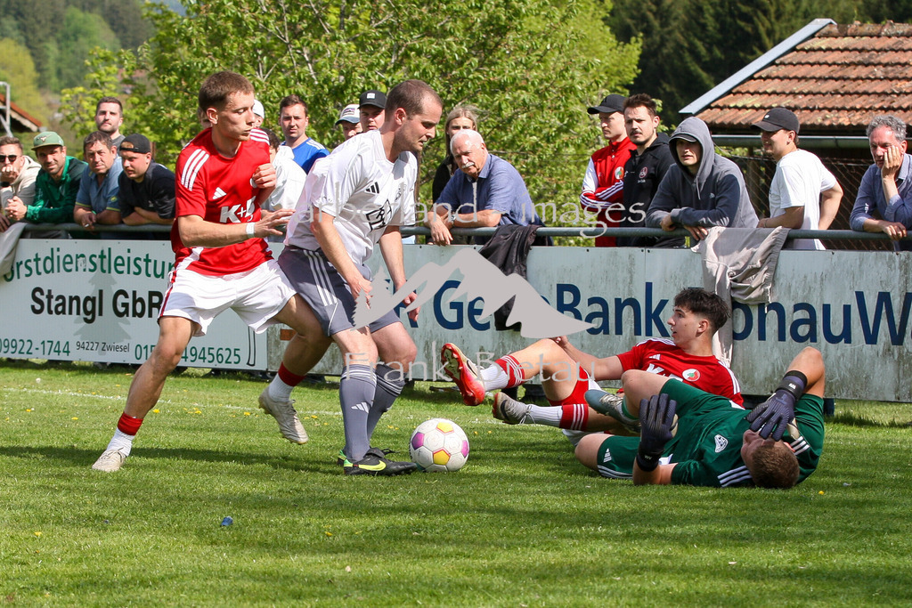 993T0439 | Medien- Sport- Entertainmentfotos