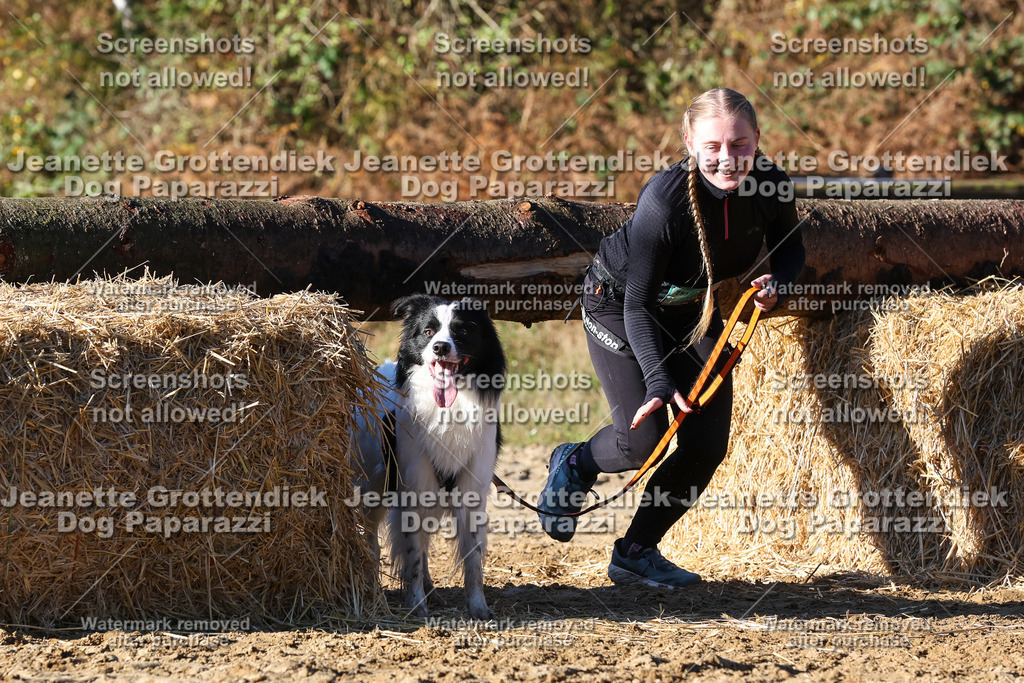 Dog Paparazzi - Strongdog 10-25-1770 | Dog Paparazzi Jeanette Grottendiek Fotografie & Videografie - Realisiert mit Pictrs.com