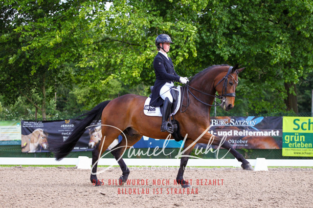 DKP41694 | Deine Turnierfotos vom Reitturnier online kaufen: Dressur, Springen & Siegerehrung. Professionelle Pferdefotografie aus dem Rheinland – als Download & Print.Alternative: Turnierfotograf für den Pferdesport: Finde deine Fotos von Dressur- und Springturnier