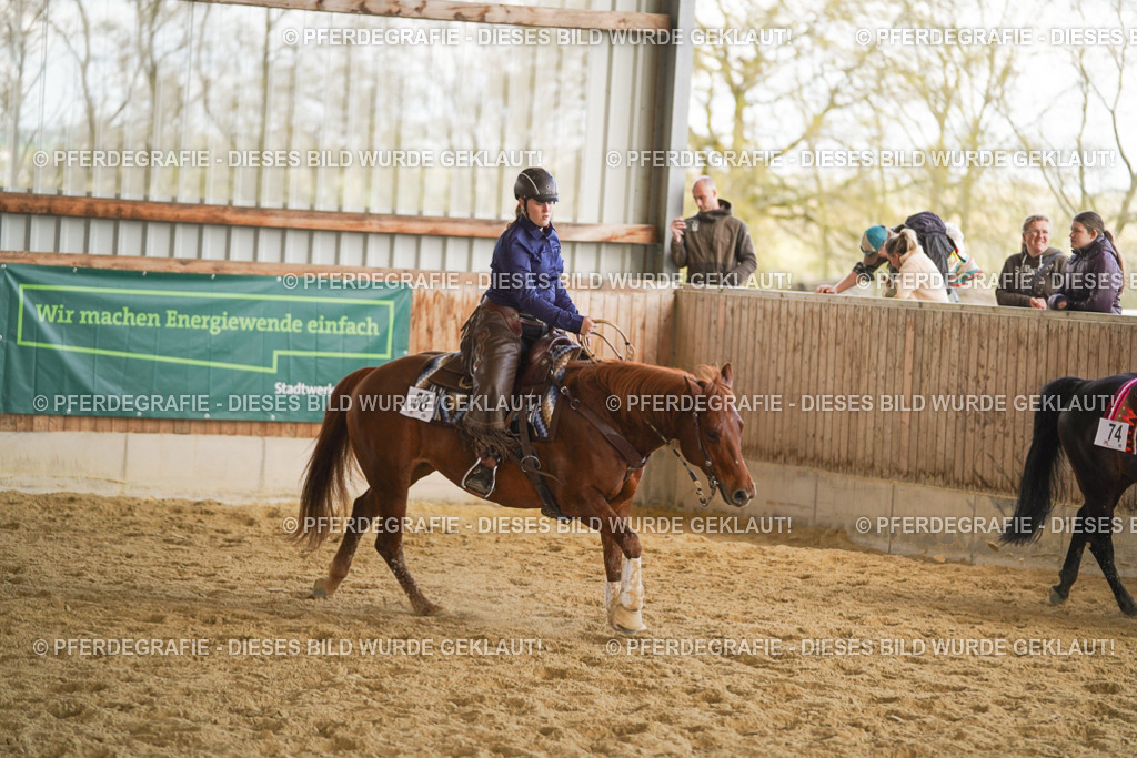 DSC08872 | Pferdegrafie