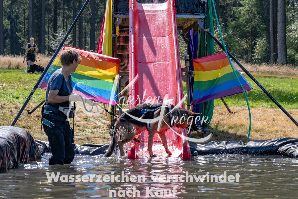 1251_ZZ93823 | kk-dogfotos