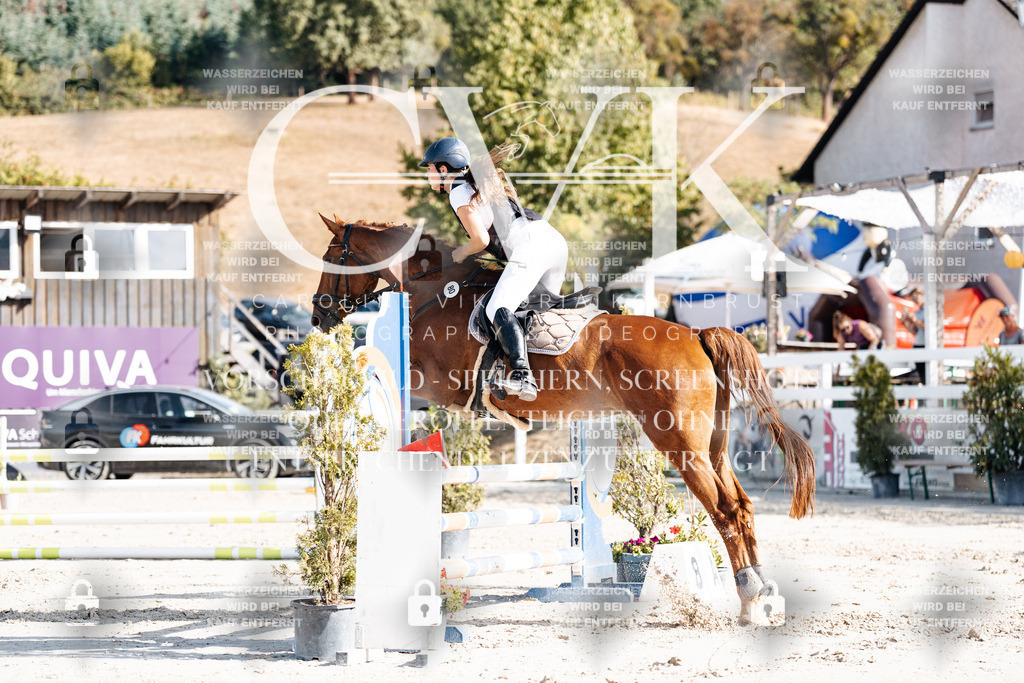 CK909354 | Turnierfotografie Pferdefotografie Trier Rheinland-Pfalz Pferdesport Reitsport Tierfotografie Sportfotografie Pferdevideo Pferdevideografie Equestrianvideography equestrianphotography  - Realisiert mit Pictrs.com