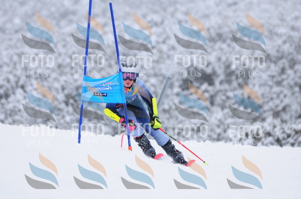 C3071 | holidayphoto