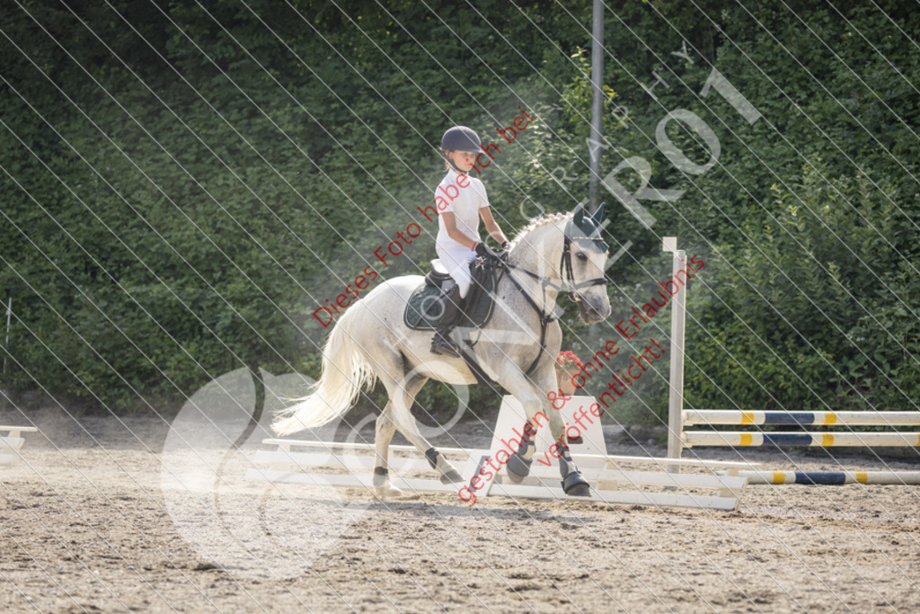 IMG_5856 | Sport-, Event- und Tierfotos in Profiqualität. Einfach auswählen, bestellen und herunterladen. Dein Moment – perfekt festgehalten.