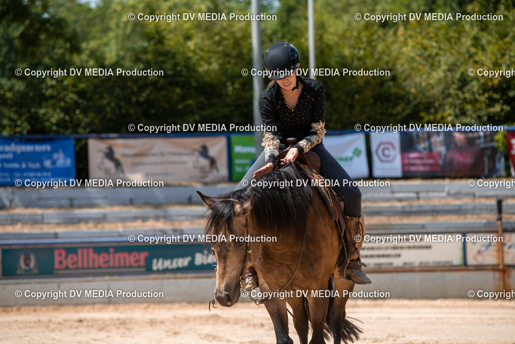 ZS3_9725 | dv-media-shop - Realisiert mit Pictrs.com