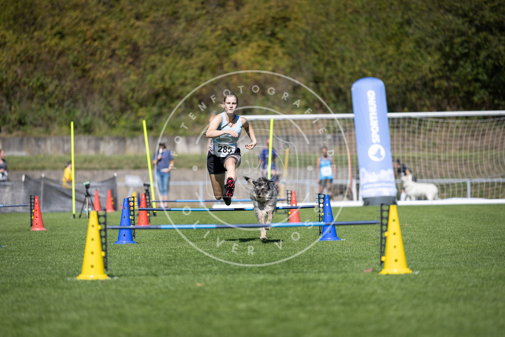 Pfotenfotografie_DV3A7194 | Hundefotografie, Tierfotograf, Pfotenfotografie, Fotoshooting Hund, Hunde Portrait, Hundesport, Hundeportraits, Heideshooting, Hunde, Sportfotograf, Hundefotograf, Turnierhundsport, THS,  - Realisiert mit Pictrs.com