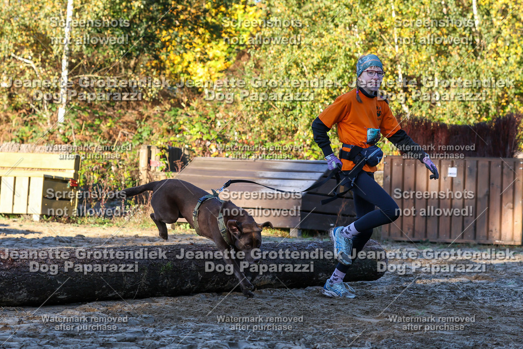 Dog Paparazzi - Strongdog 10-25-765 | Dog Paparazzi Jeanette Grottendiek Fotografie & Videografie - Realisiert mit Pictrs.com