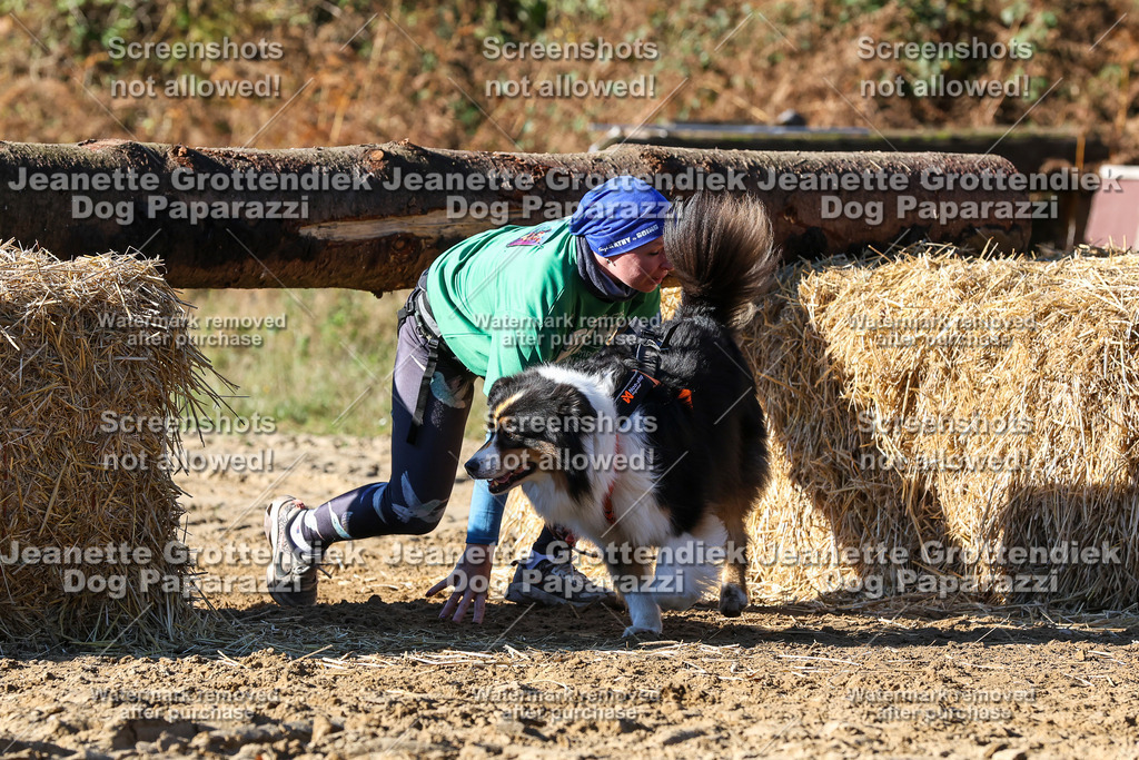 Dog Paparazzi - Strongdog 10-25-2299 | Dog Paparazzi Jeanette Grottendiek Fotografie & Videografie - Realisiert mit Pictrs.com