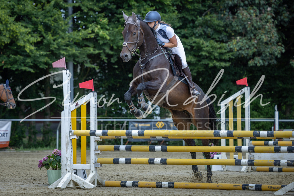 20260704-_3LI0610 | Tierfotografie Pferde, Hunde, Katzen, Haustiere.
Turnierfotografie Reitturniere, Reiten, Springreiten, Dressur in Hanau, dem Main-Kinzig-Kreis und dem Rhein-Main- Gebiet um Frankfurt