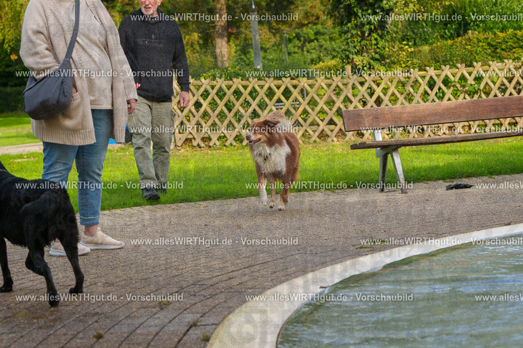 Hundeschwimmen_Grefrath_2026-allesWIRTHgut_Tierfotografie-09_26-FAY07585 | Professionelle Tierfotografie in Mönchengladbach von Daniel Wirth (allesWIRTHgut). Liebevolle & natürliche Bilder von Hunden & Katzen für unvergessliche Erinnerungen.