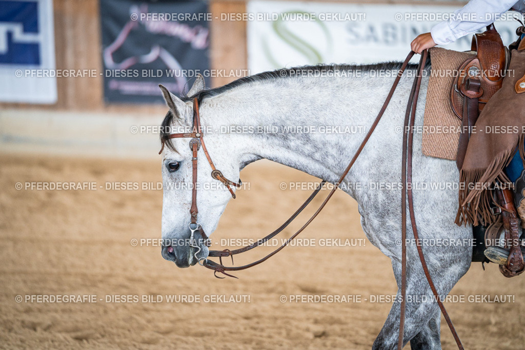 DSC08665 | Pferdegrafie