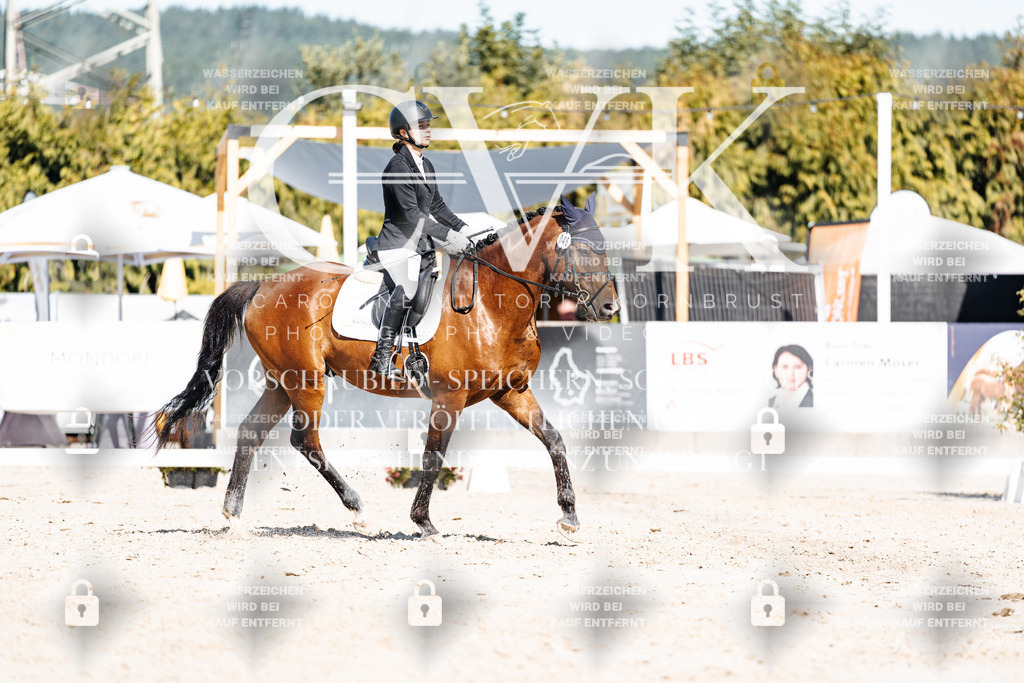 CK908639 | Turnierfotografie Pferdefotografie Trier Rheinland-Pfalz Pferdesport Reitsport Tierfotografie Sportfotografie Pferdevideo Pferdevideografie Equestrianvideography equestrianphotography  - Realisiert mit Pictrs.com