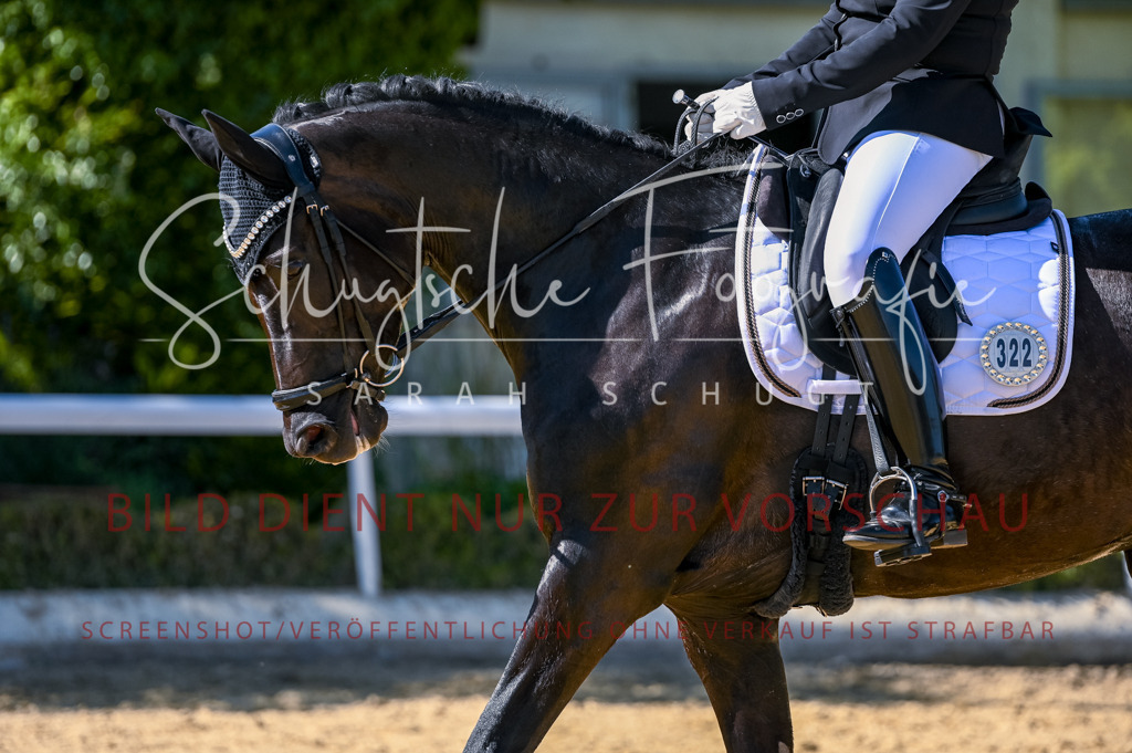 Schugtsche-Aluta25-50.Dressurpferdeprf.L-191 | Schugtsche Fotografie - Realisiert mit Pictrs.com