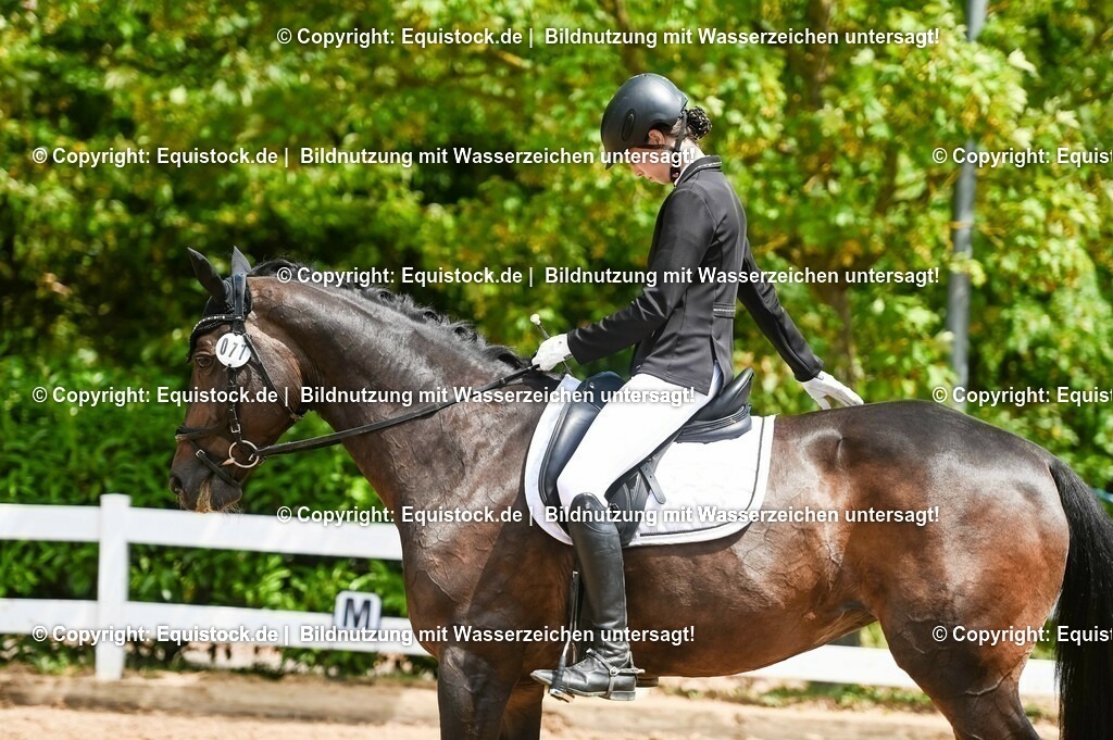 20230716_03_Dressurprfg. Kl.L - Tr._0587 | equistock