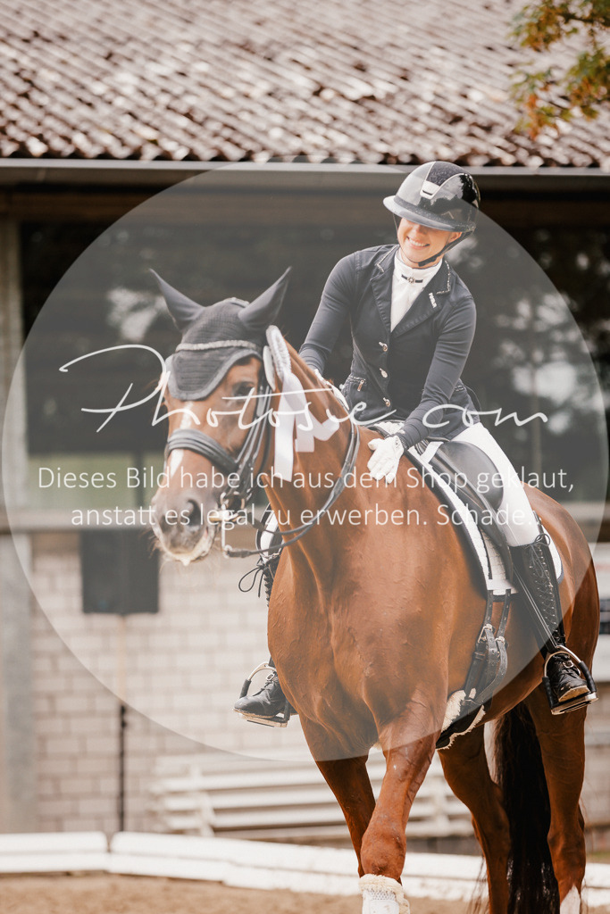 3I6A7889 | Stimmungsvolle Portraits und Reitsportfotografie im Ruhrgebiet und im Münsterland.

Pferdefotografie, Hundefotografie, Tierfotografie, Reportagen, Portraits von Tier und Mensch, Turnierfotografie in Bochum, Recklinghausen, Marl, Haltern am See, Dülmen.. - Realisiert mit Pictrs.com