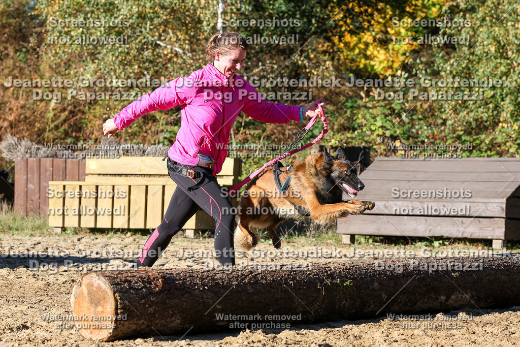 Dog Paparazzi - Strongdog 10-25-1991 | Dog Paparazzi Jeanette Grottendiek Fotografie & Videografie - Realisiert mit Pictrs.com