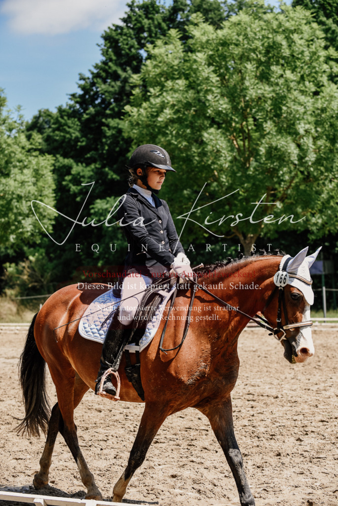 DSC_1941 | Pferde- und Turnierfotografie in Westsachsen. Pferdeportraits, Auftragszeichnungen und intuitive Kunst.