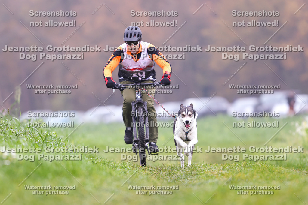 Dog Paparazzi - Visbeck 25 -197 | Dog Paparazzi Jeanette Grottendiek Fotografie & Videografie - Realisiert mit Pictrs.com