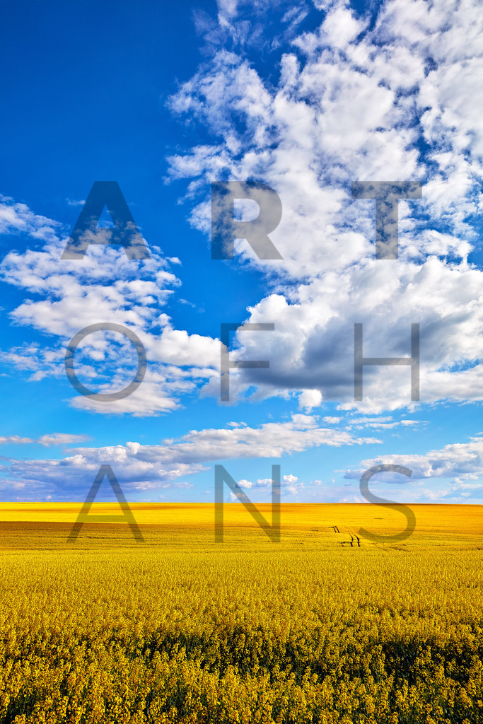 Ein Hans Fineart Original | Entdecke die Kunst von Hans Fineart - Fotografien für dein Zuhause. Verwandle deine Wände mit einzigartigen Kunstwerken und bringe die Schönheit der Welt in dein Leben. Bestelle jetzt und schaffe einen Ort der Inspiration und Eleganz.
