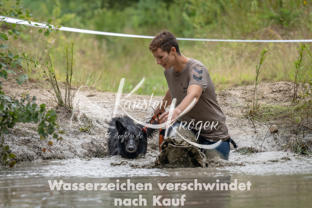 1334_ZZ90650 | kk-dogfotos