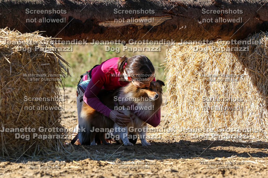 Dog Paparazzi - Strongdog 10-25-2487 | Dog Paparazzi Jeanette Grottendiek Fotografie & Videografie - Realisiert mit Pictrs.com
