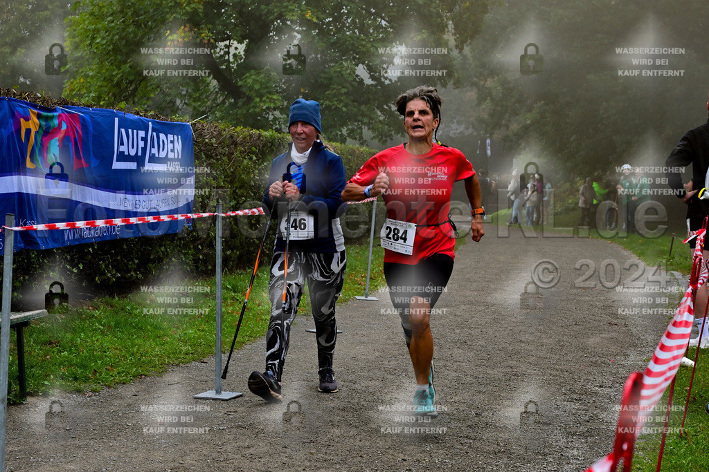 Z8N_1988 | la-psv - Realisiert mit Pictrs.com