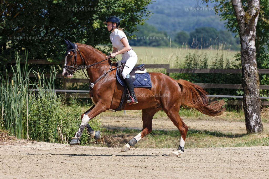 JHE_2892 | JoYa Fotografie - Realisiert mit Pictrs.com