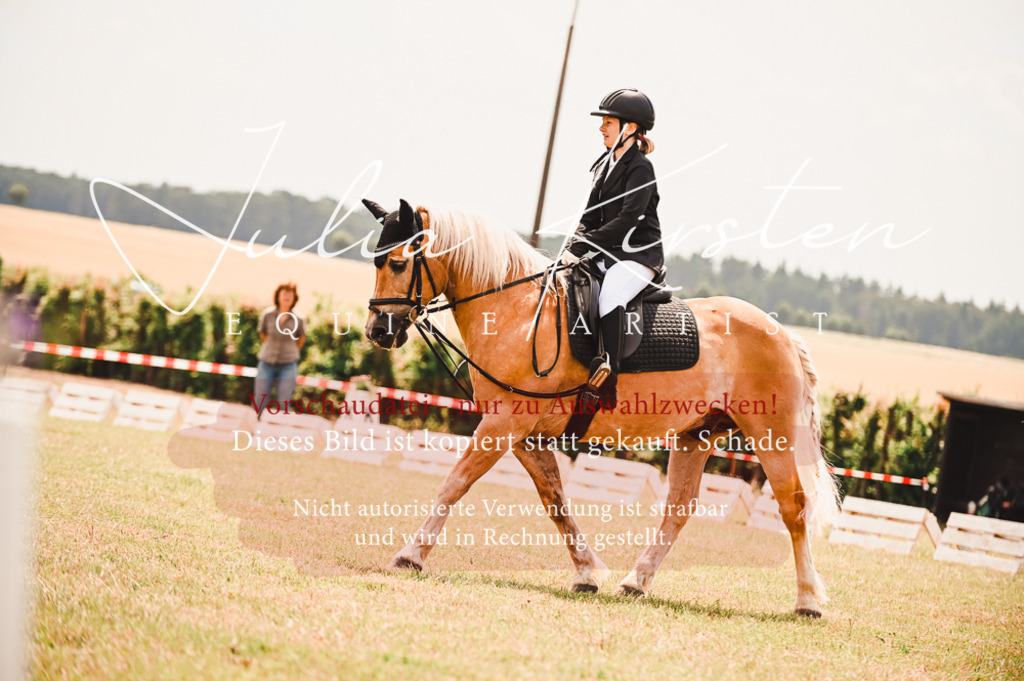 DSC_6313 | Pferde- und Turnierfotografie in Westsachsen. Pferdeportraits, Auftragszeichnungen und intuitive Kunst.