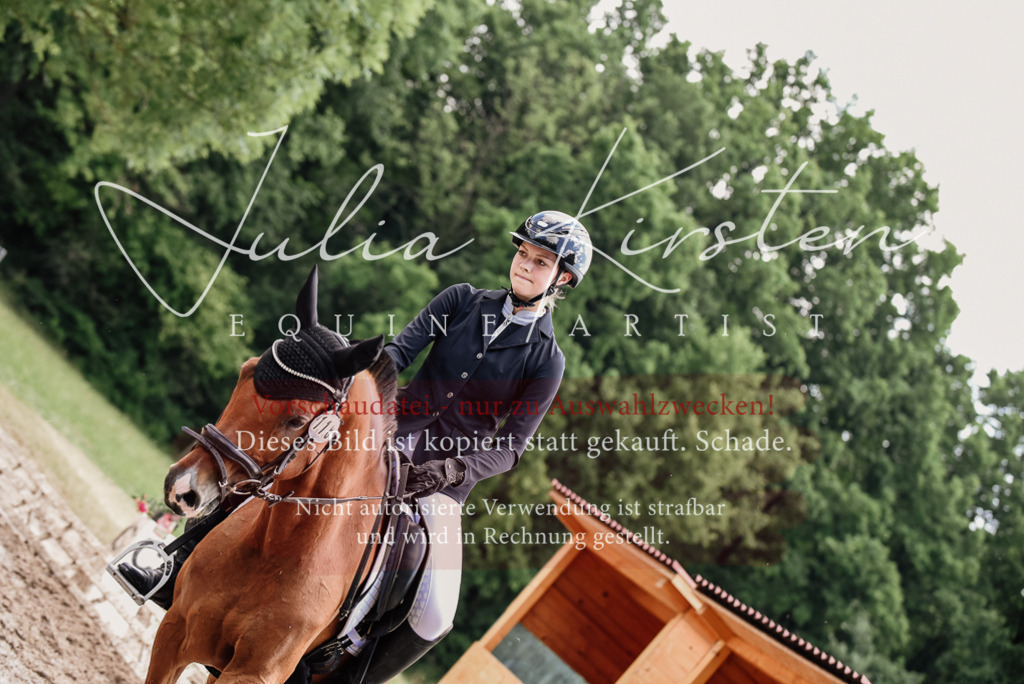 DSC_1745 | Pferde- und Turnierfotografie in Westsachsen. Pferdeportraits, Auftragszeichnungen und intuitive Kunst.