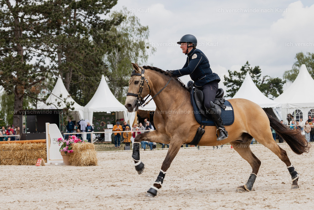 PI26_SP_StoibphotographyC2_C2073.jpg | working equitationturnier fotograf videograf stoibphotography marixx film working equitation deutschland reitsport turnierfotografie eventfotografie equestrian events
